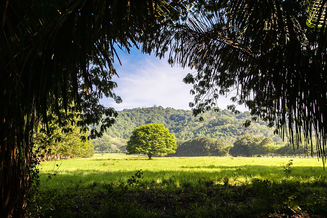 Nature