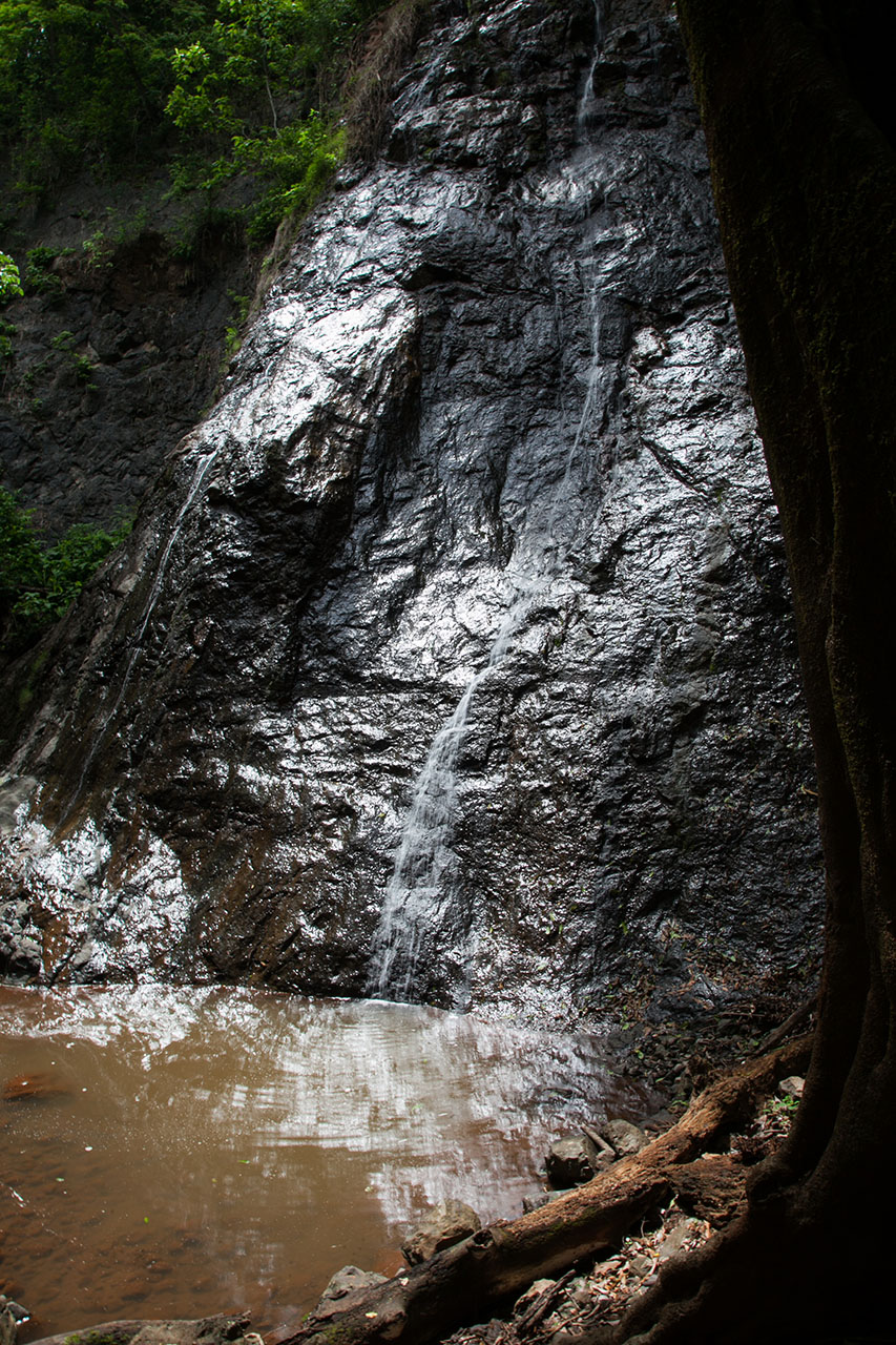 Nature